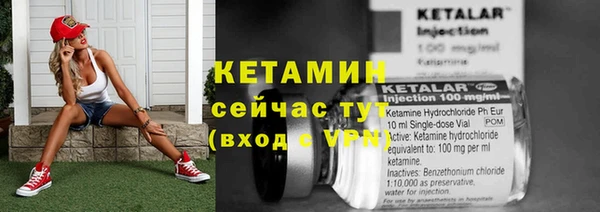 крисы Армянск