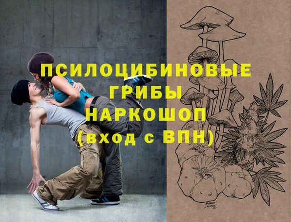 крисы Армянск