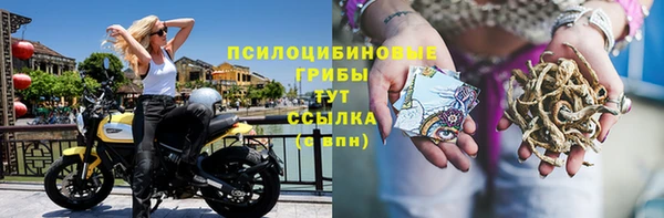 мет Аркадак