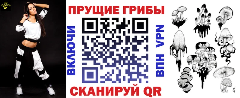 блэк спрут ТОР  где найти наркотики  Советск  Псилоцибиновые грибы прущие грибы 